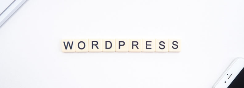 Wordpress Design And Development In 2023